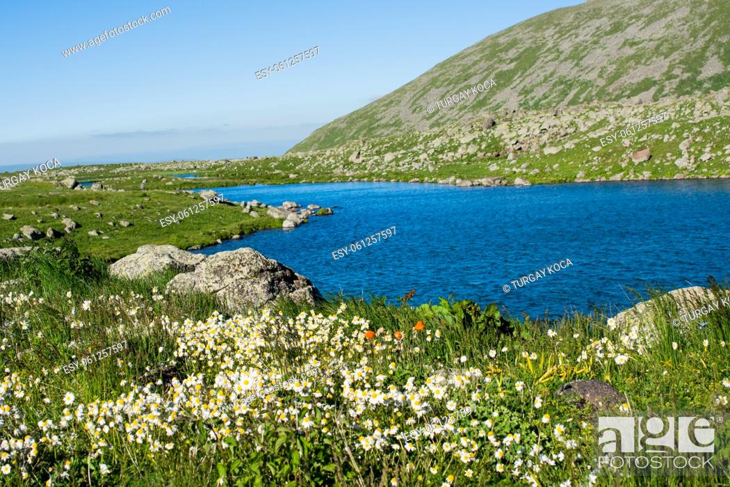 Stock Photo: Highland lake in green natural background in Artvin province of Turkey.
