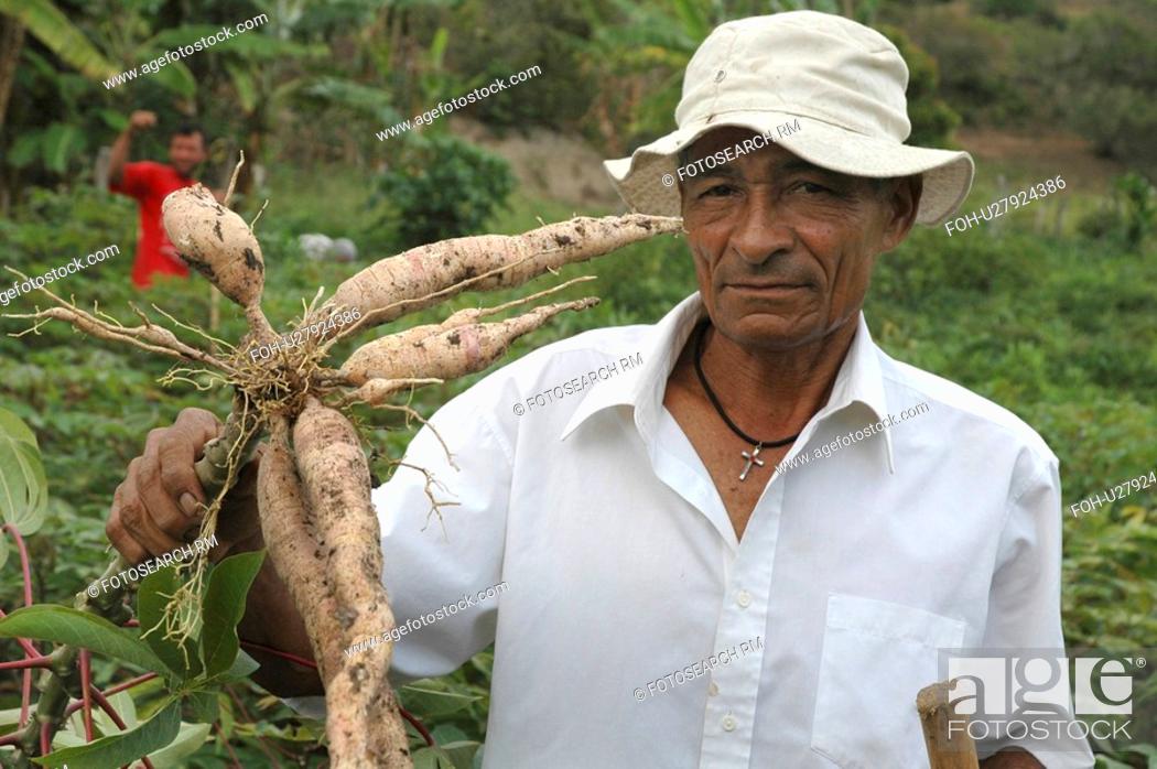 Stock Photo: person, farmer, brazil, male, people.