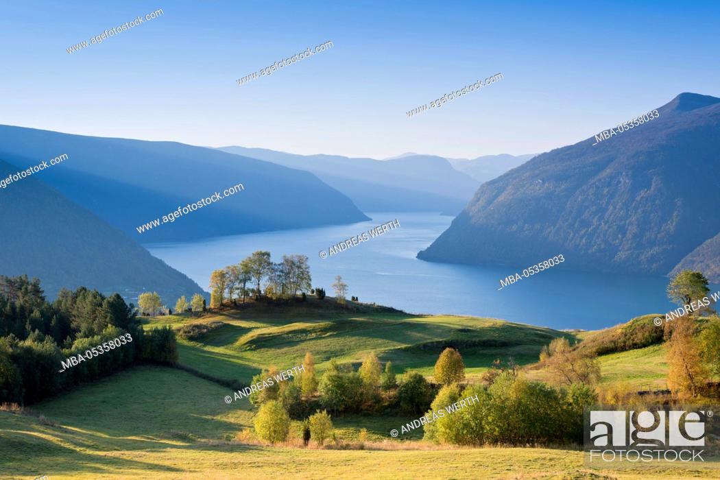 Stock Photo: View over meadows and trees towards the Lustrafjord, the inner branch of the Sognefjord, Lustrafjord, Sogn og Fjordane, Norway, Europe.