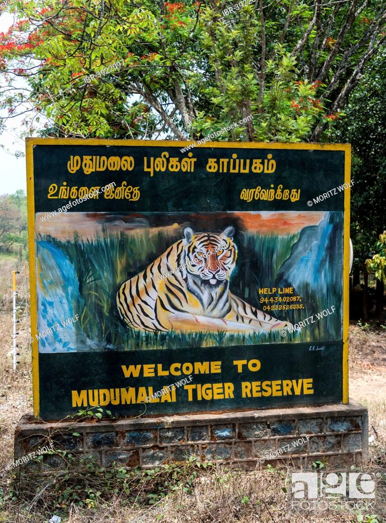 Welcome sign, Mudumalai Tiger Reserve, Mudumalai Wildlife Sanctuary, Tamil  Nadu, India, Stock Photo, Picture And Rights Managed Image. Pic.  IBR-3922097 | agefotostock