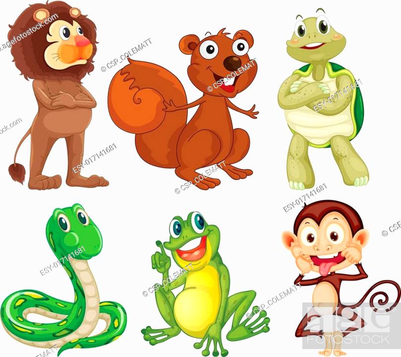 Six different kinds of animals in the jungle, Stock Vector, Vector And Low  Budget Royalty Free Image. Pic. ESY-017141681 | agefotostock
