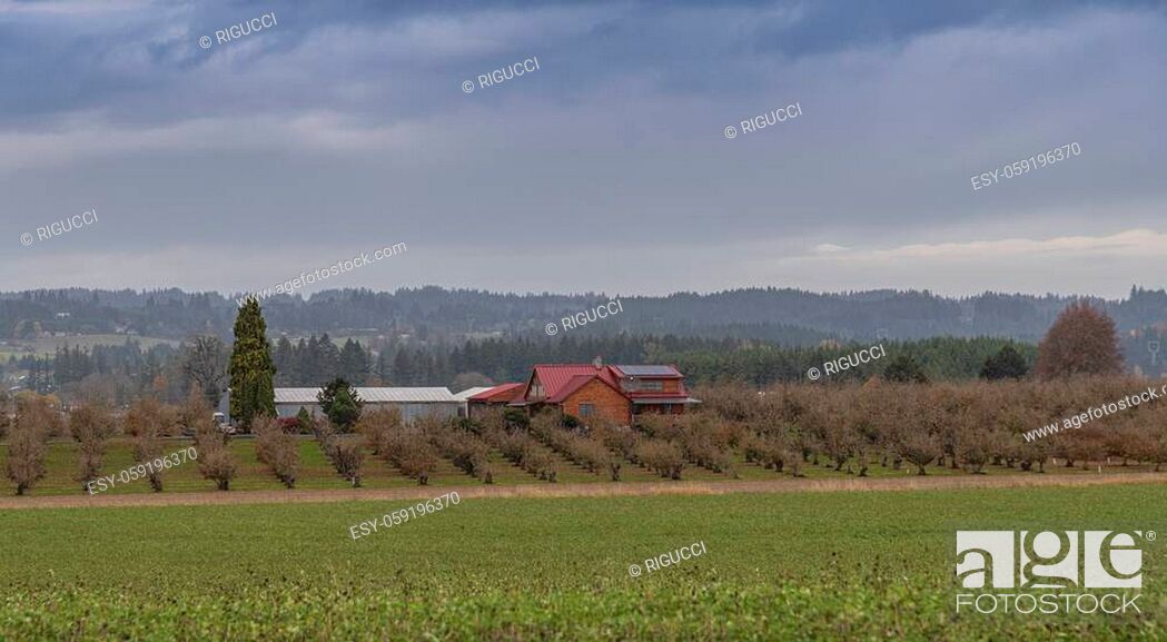 Stock Photo: Country living in a farmland in rural landscape in Oregon state.