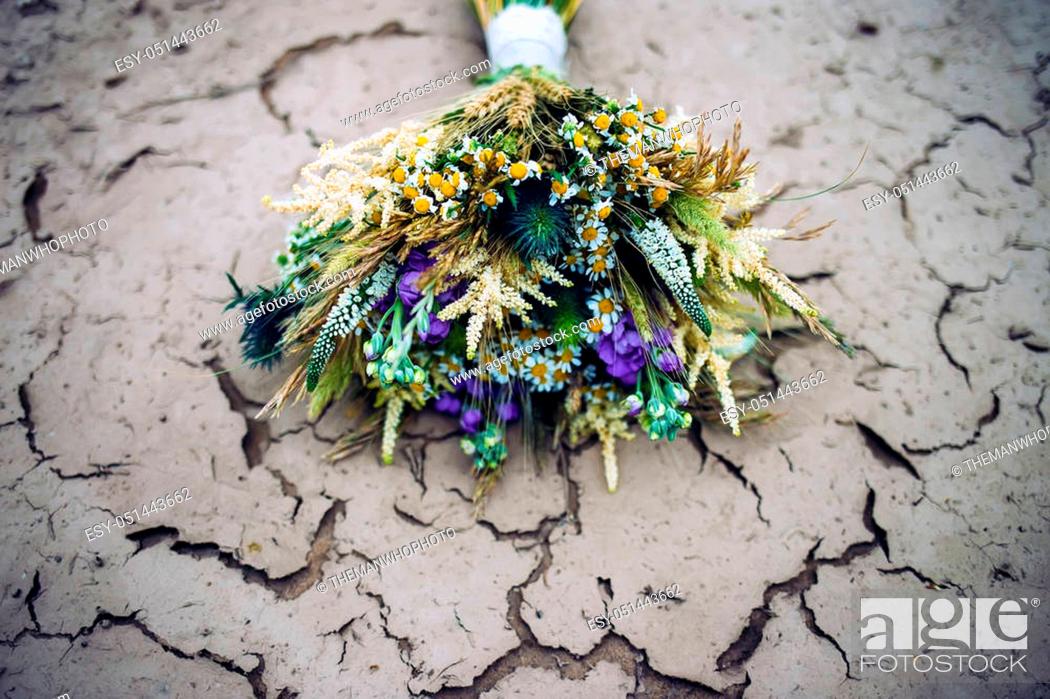 Stock Photo: bouquet of flowers on ground crusted with dried mud.