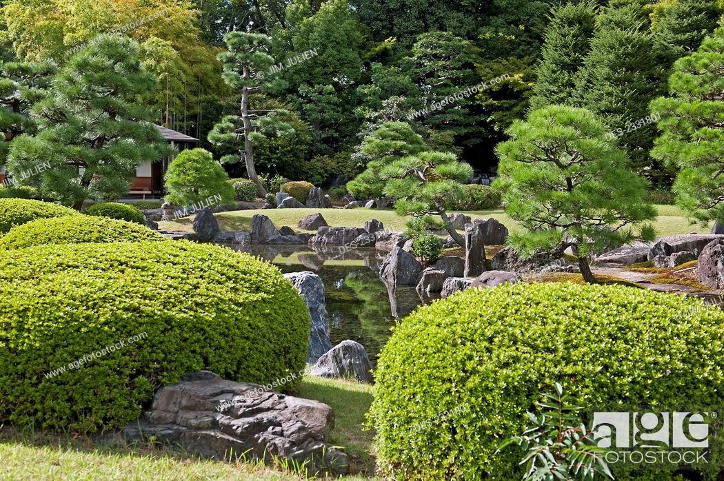 Tokyo plants a garden
