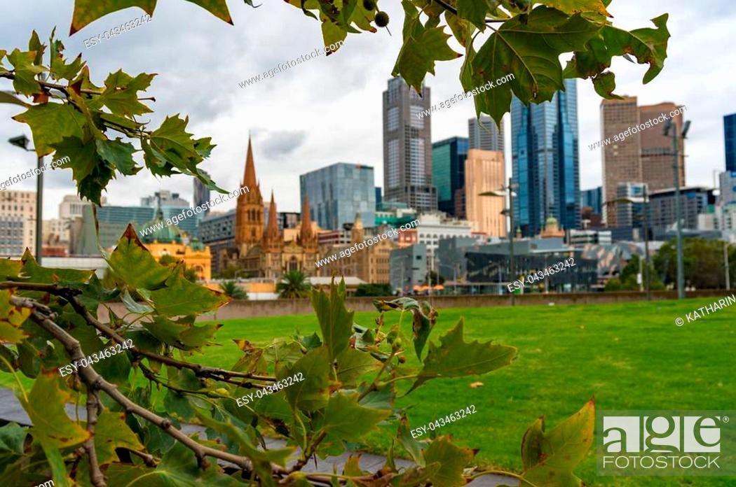Stock Photo: Melbourne CBD view framed with autumn leaves. Selective focus on leaves.
