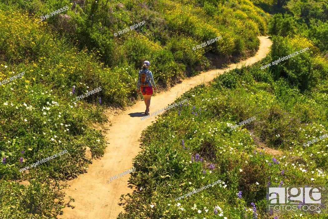 Stock Photo: Woman hiking through spring blooms at Harmon Canyon Preserve, Ventura, California USA.