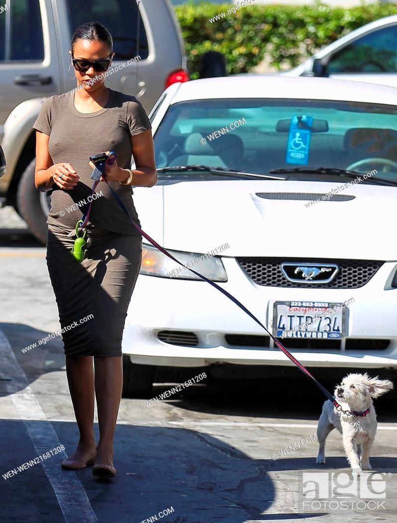 Stock Photo: Zoe Saldana walks her dog Mugsy before visiting In-N-Out to grab some lunch Featuring: Zoe Saldana, Mugsy Where: Los Angeles, California.