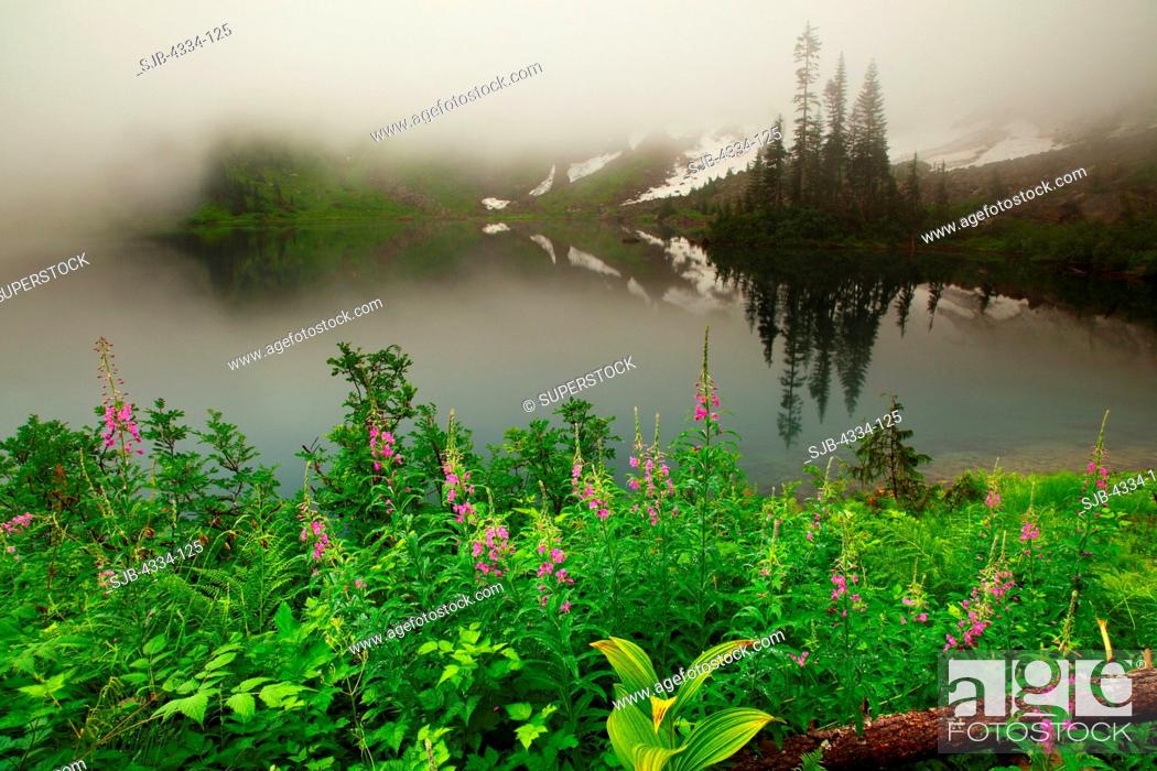 Stock Photo: Fog hangs over Lake Twentytwo, on the east face of Mount Pilchuck, Mount Baker-Snoqualmie National Forest, Washington.