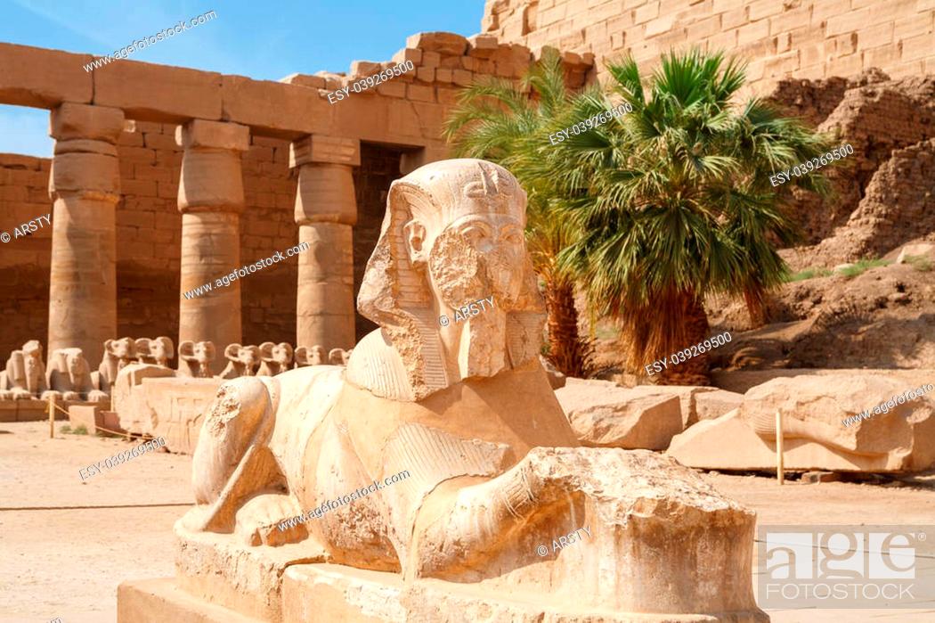 Stock Photo: Sphinx statue in Karnak Temple Complex. Luxor, Egypt.