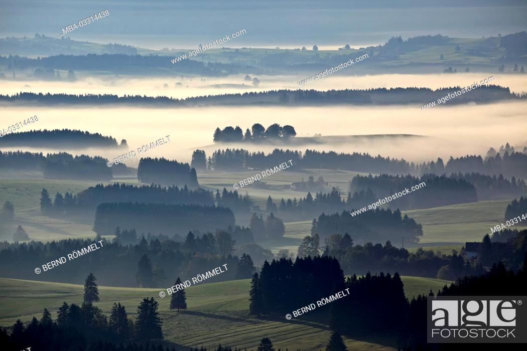 Stock Photo: Germany, Bavaria, Allgäu, Ostallgäu district, Königswinkel region, mountain Auer, foothills of the Alps,.