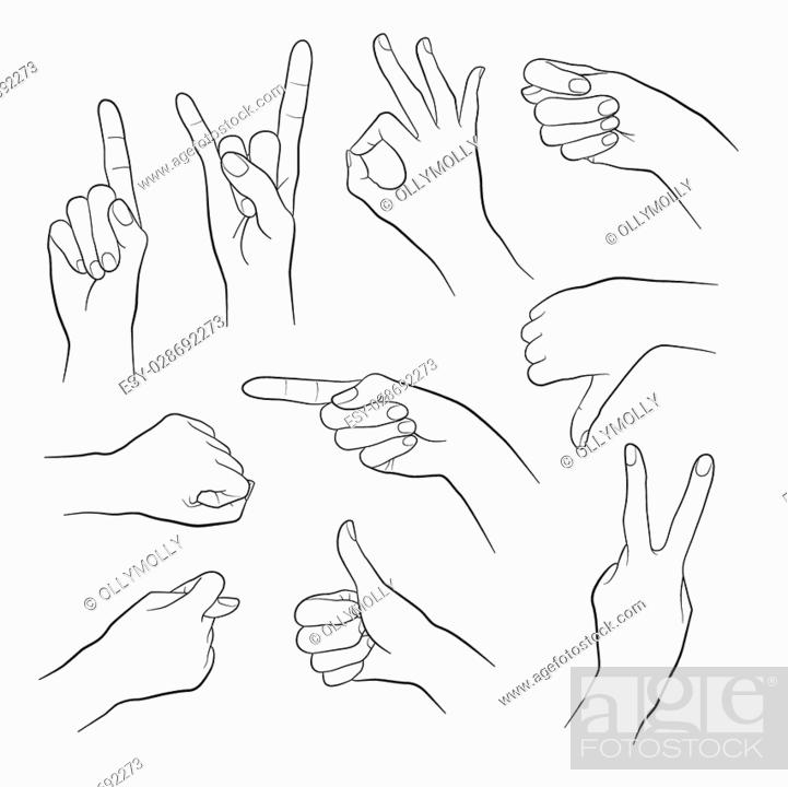 Human gestures. People hand signs. Woman hand outline isolated on white  background, Stock Vector, Vector And Low Budget Royalty Free Image. Pic.  ESY-028692273 | agefotostock