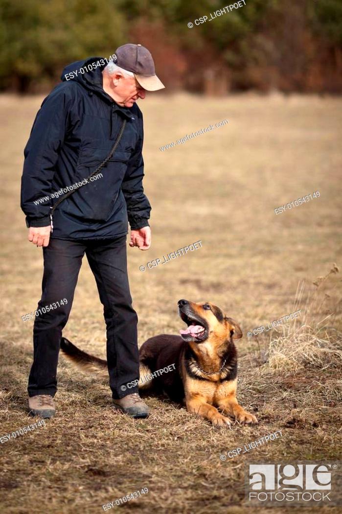 Stock Photo: Master and his obedient (German Shepherd) dog.