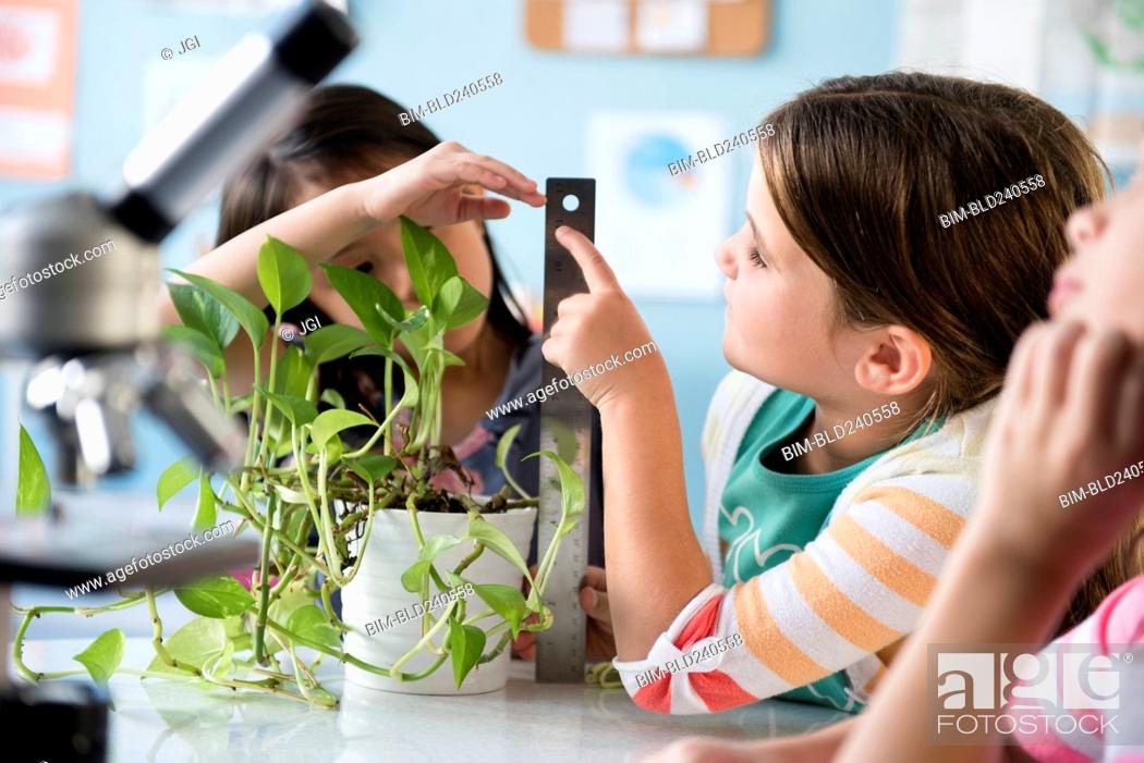 Stock Photo: Girls measuring growth of plant in classroom.