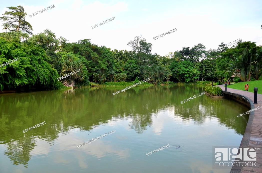 Stock Photo: Lake in public park surrounded by green field and trees at Singapore Botanic Garden.