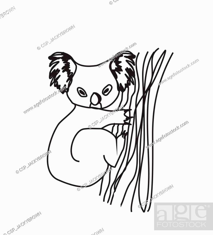 koala cartoon drawing, Stock Vector, Vector And Low Budget Royalty Free  Image. Pic. ESY-018776155 | agefotostock