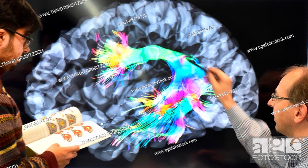 Stock Photo: Scientists and study conductor Dr. Alfred Anwander (r) and Portuguese Tomas Goucha of the Max-Planck-Institute for Cognitive and Neuroscience assess the brain.