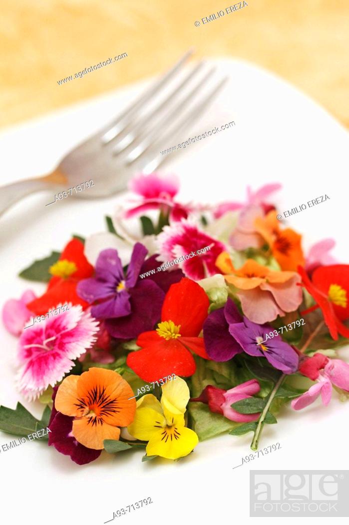 Photo de stock: Edible flowers.