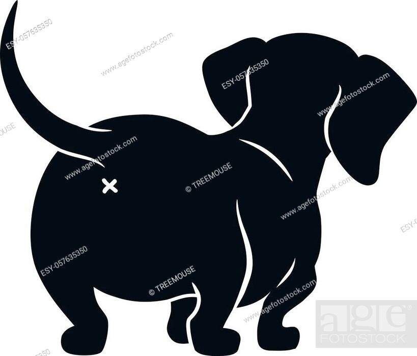 Cute dachshund sausage dog vector cartoon illustration isolated on white,  Stock Vector, Vector And Low Budget Royalty Free Image. Pic. ESY-057635350  | agefotostock