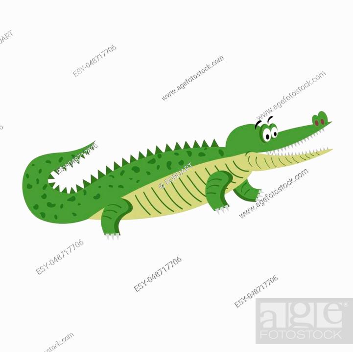 Green cartoon crocodile in natural position isolated on white background,  Stock Vector, Vector And Low Budget Royalty Free Image. Pic. ESY-048717706  | agefotostock
