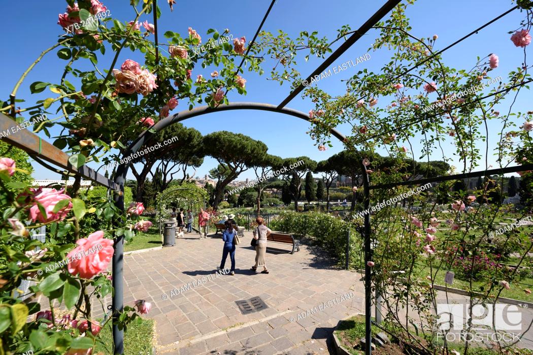 Stock Photo: Rome. Italy. The Roseto Comunale di Roma, rose garden on the Aventine hill.