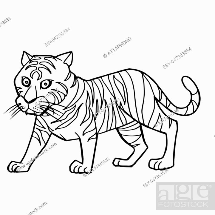 cartoon cute tiger coloring page vector illustration, Stock Vector, Vector  And Low Budget Royalty Free Image. Pic. ESY-047353534 | agefotostock