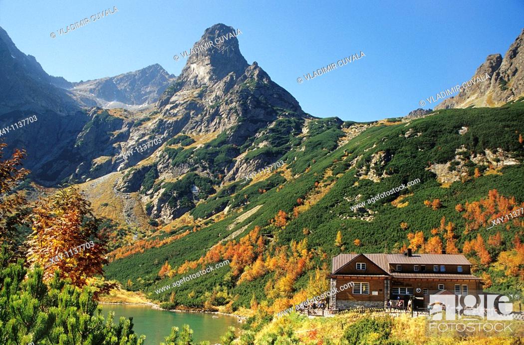 Stock Photo: Autumn colours in Dolina Bielej Vody, High Tatras, Slovakia.