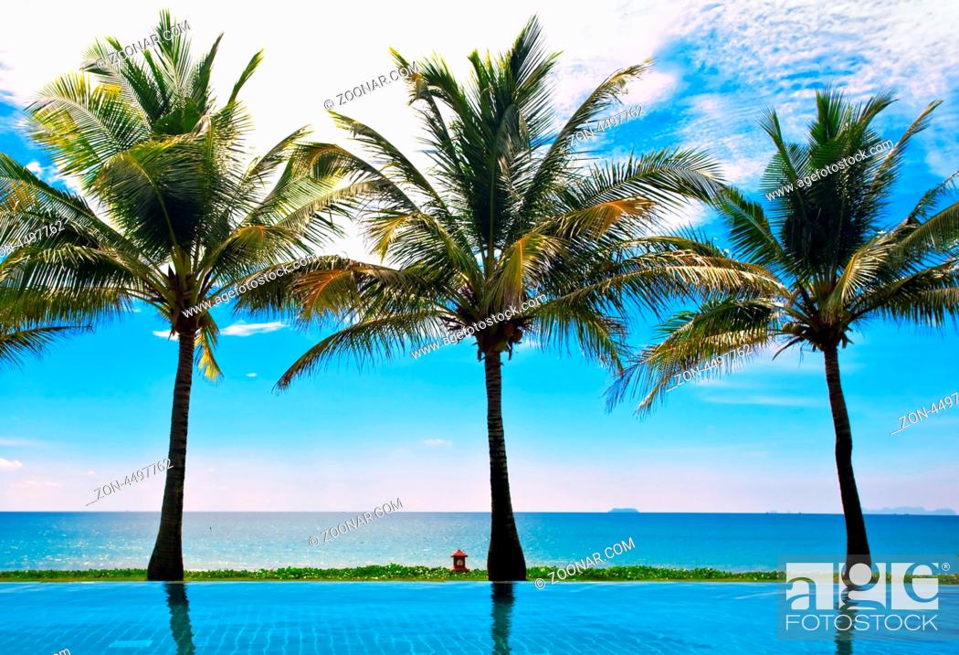 Stock Photo: reflections of palms in the poo.