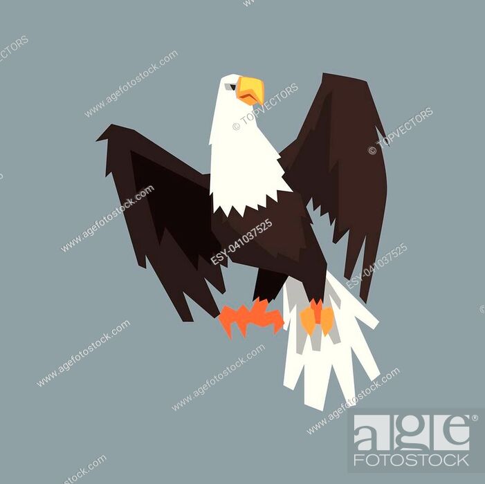 North American Bald Eagle, symbol of USA vector illustration, cartoon  style, Stock Vector, Vector And Low Budget Royalty Free Image. Pic.  ESY-041037525 | agefotostock