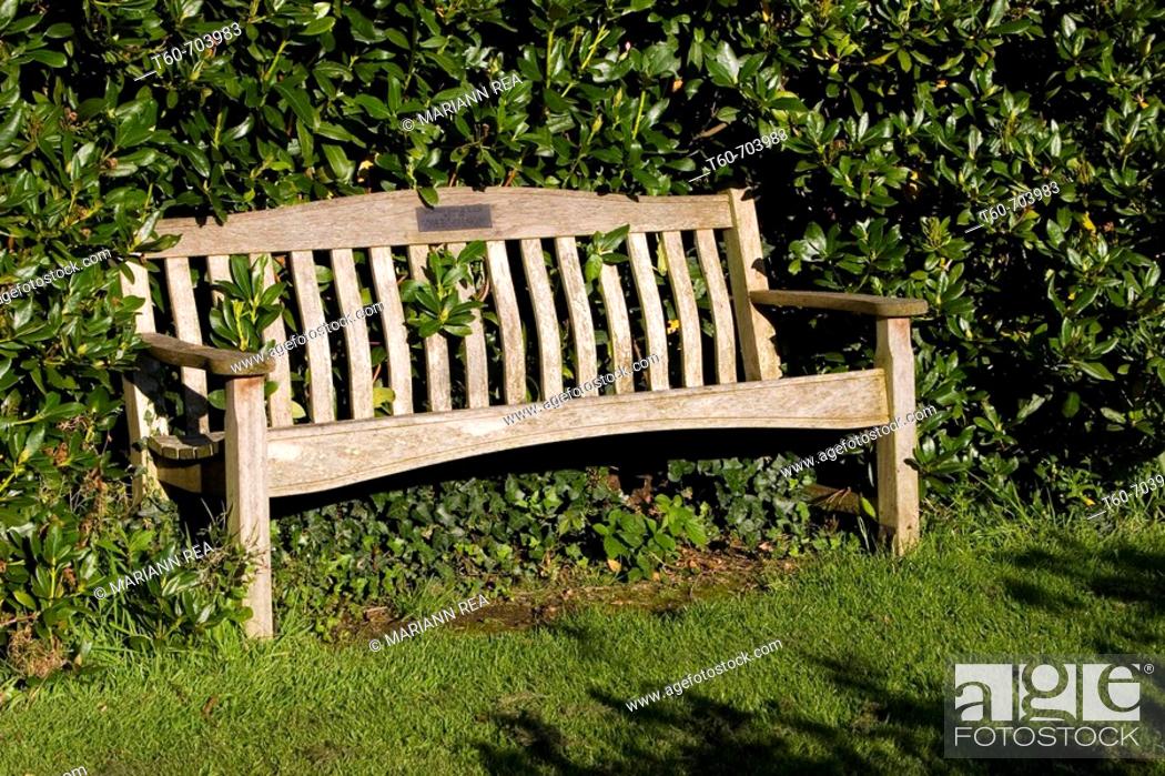 A Bench In The Bushes Lady Dixon Park, Wooden Garden Seat Northern Ireland