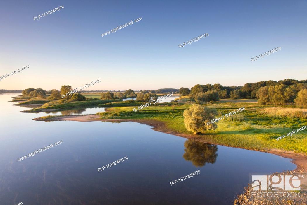 Stock Photo: UNESCO Elbe River Landscape biosphere reserve in summer, Lower Saxony, Germany.