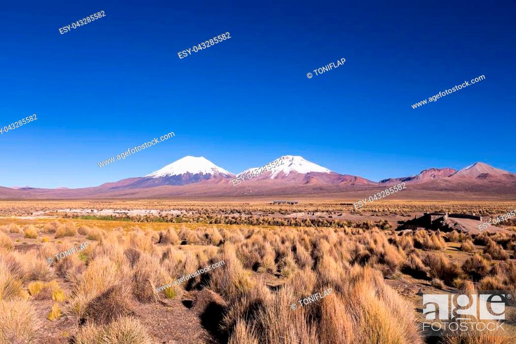 Stock Photo: Bolivian panoramic: High Andean tundra landscape in the mountains of the Andes. The weather Andean Highlands Puna grassland ecoregion.