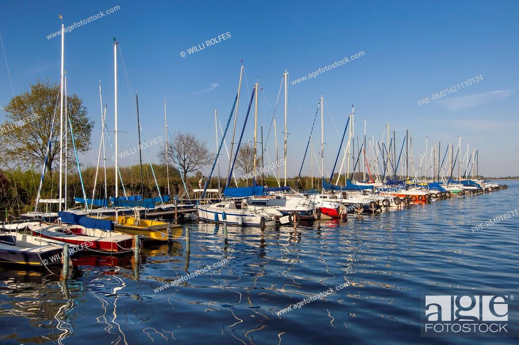 Stock Photo: Sailing boats on lake Dümmer, Olgahafen, Dümmerlohhausen, district Diepholz, Niedersachsen, Germany / Segelboote auf dem Dümmer, Olgahafen, Dümmerlohhausen.