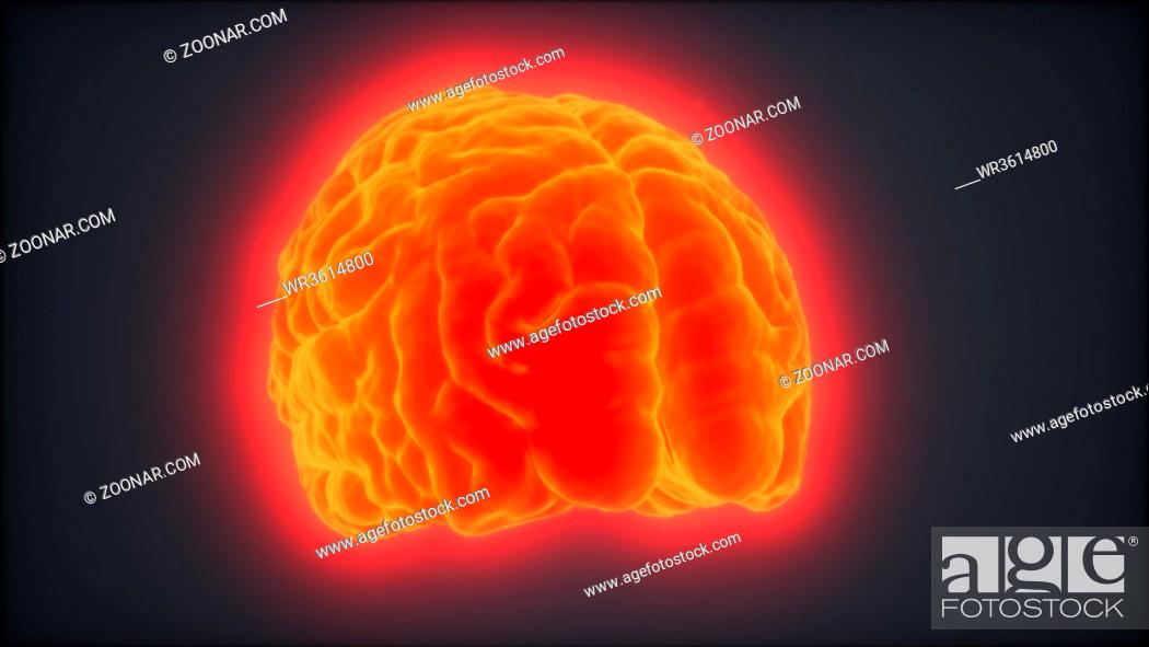 Loop Rotating Human Brain Animation, Stock Photo, Picture And Royalty Free  Image. Pic. WR3614800 | agefotostock