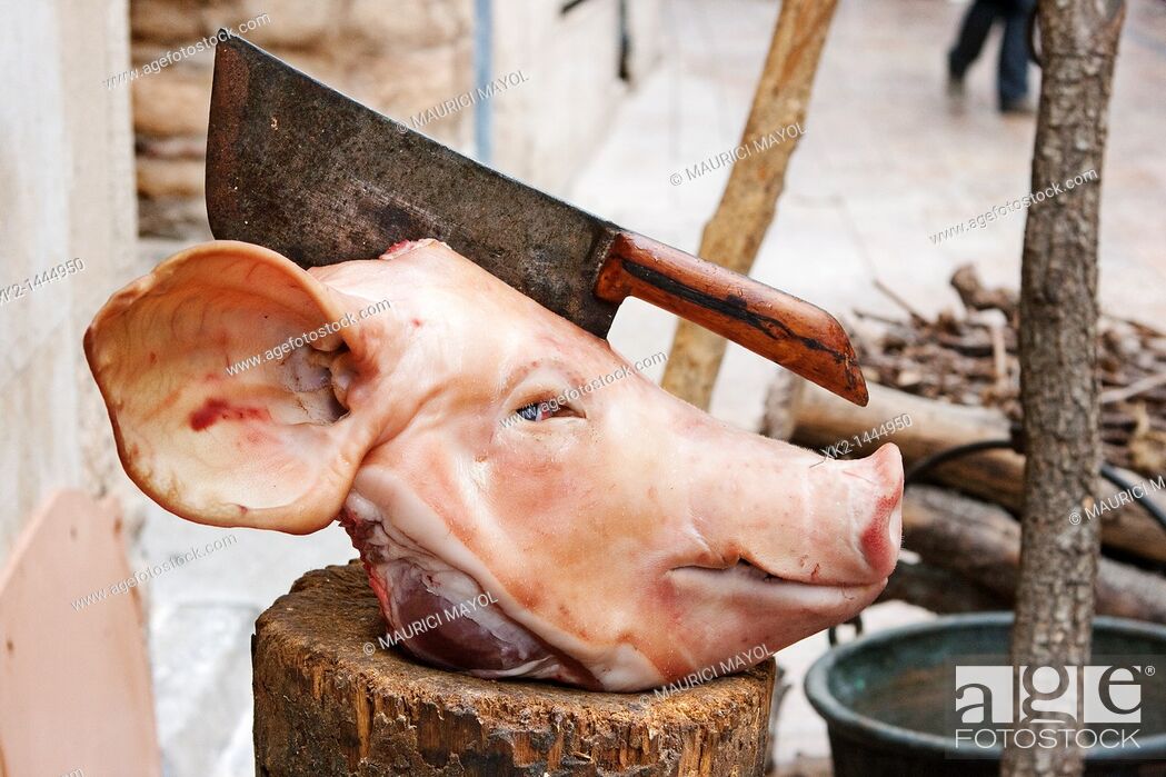 Stock Photo: cabeza de cerdo con un cuchillo de carnicero clavado por la mitad, Montblanc, Conca de Barcerà, Tarragona, Spain.