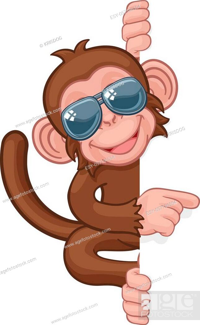 kost kommentator Bounce A cool monkey cartoon character animal wearing sunglasses or shades peeking  around a sign and..., Stock Vector, Vector And Low Budget Royalty Free  Image. Pic. ESY-057196554 | agefotostock
