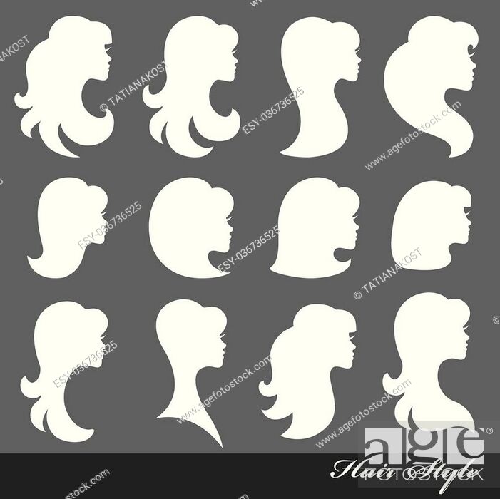Girl Profiles face silhouette set,  Woman Hair style ,  isolated head, Stock Vector, Vector And Low Budget Royalty Free Image. Pic.  ESY-036736525 | agefotostock