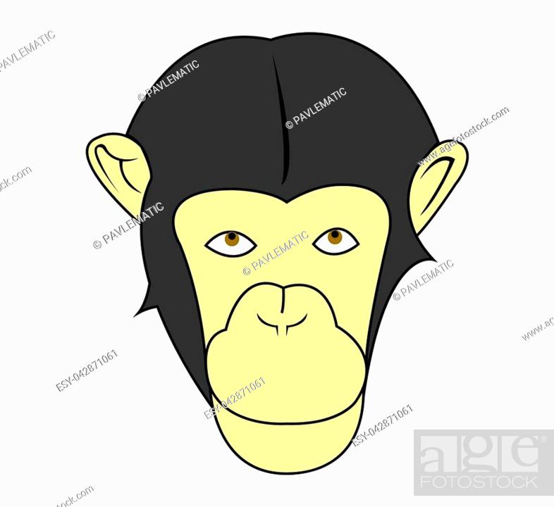 Cartoon chimpanzee head illustration, Stock Photo, Picture And Low Budget  Royalty Free Image. Pic. ESY-042871061 | agefotostock