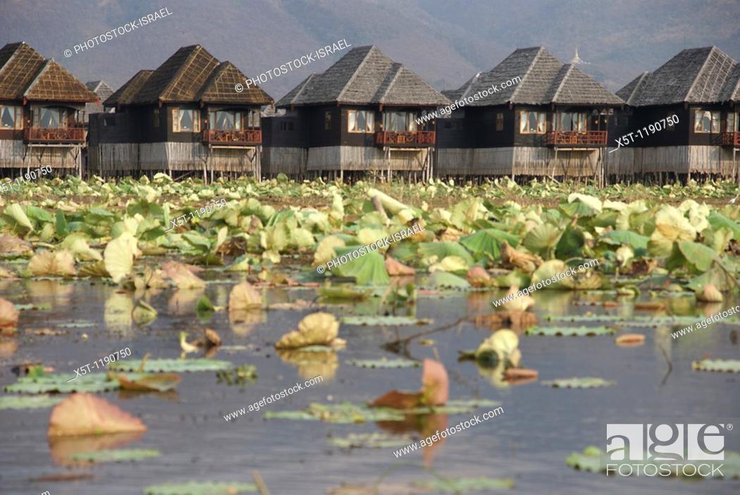 Stock Photo: Myanmar, Shan state, Inle lake Houses on the lake front.