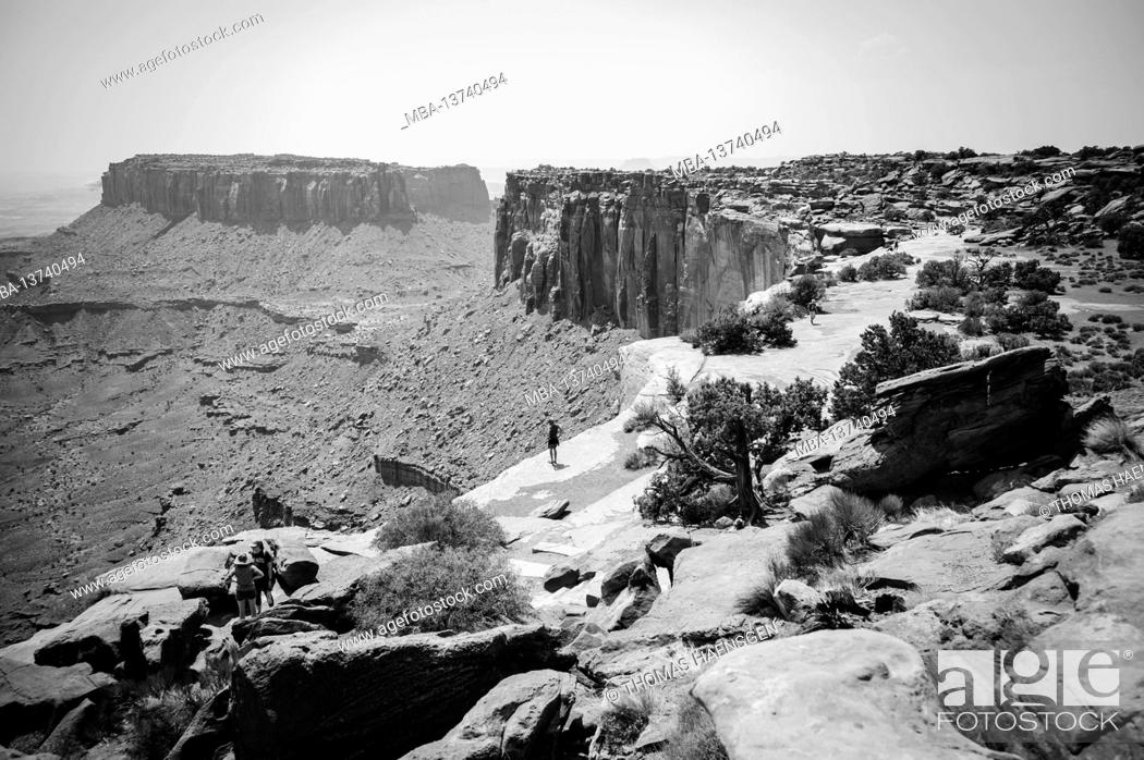 Stock Photo: Grand View Point. Scenic pullout & easy 2-mi. hike along the mesa rim with sweeping vistas of dramatic canyon terrain in Canyonlands National Park, Utah, USA.