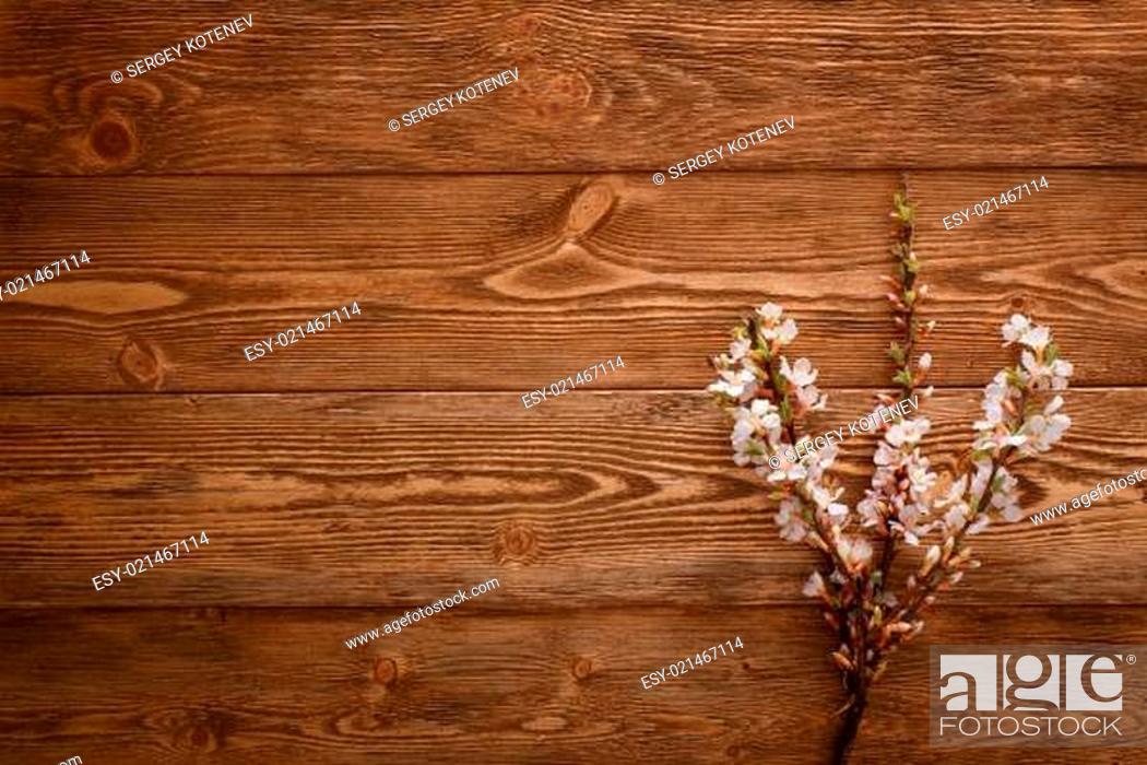 Stock Photo: Summer Flowers on wood texture background.