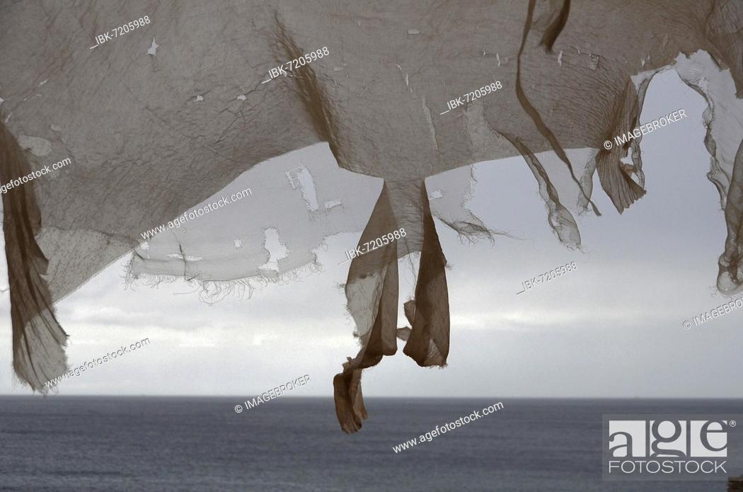 Stock Photo: Torn nylon cloth from greenhouse by the sea fluttering in the wind, Andalusia, Spain, Europe.