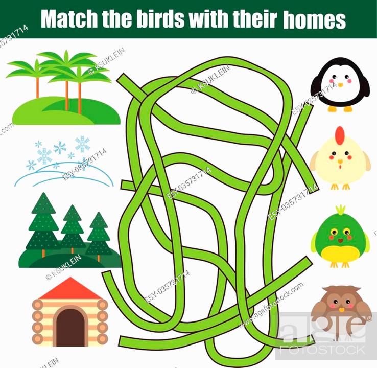 Matching game. Match the birds with homes children educational game with  maze, Stock Vector, Vector And Low Budget Royalty Free Image. Pic.  ESY-035731714 | agefotostock