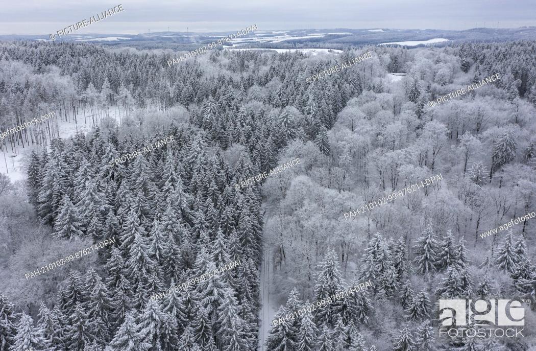 Stock Photo: 02 January 2021, Hessen, Kiedrich: The coniferous forest near Kiedrich is covered with snow after the persistent precipitation of the past few days (aerial.