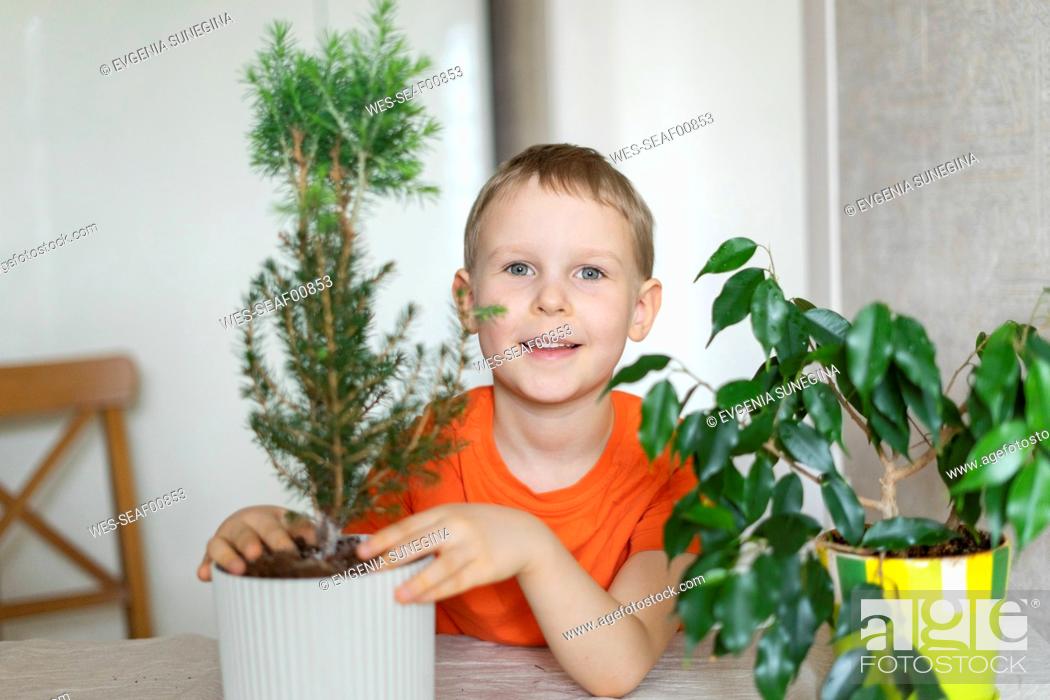 Stock Photo: Smiling boy planting at home.