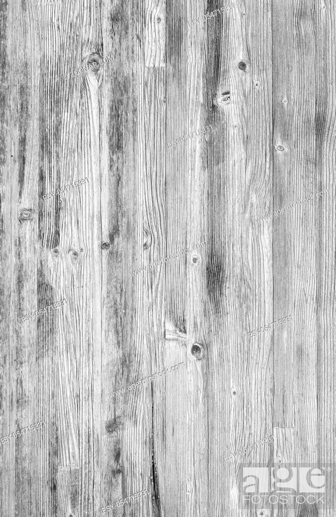 Monochrome wood background. Close-up white wood texture, Stock Photo,  Picture And Low Budget Royalty Free Image. Pic. ESY-054715331 | agefotostock
