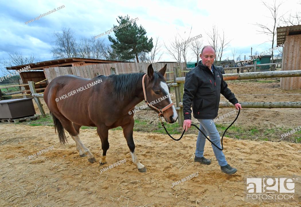 Stock Photo: Farmer Andreas Strahlmann walks with his gelding Santos at his farm in Wettmar, Germany, 28 February 2017. 60 horses live in the horse boxes he rents out to.