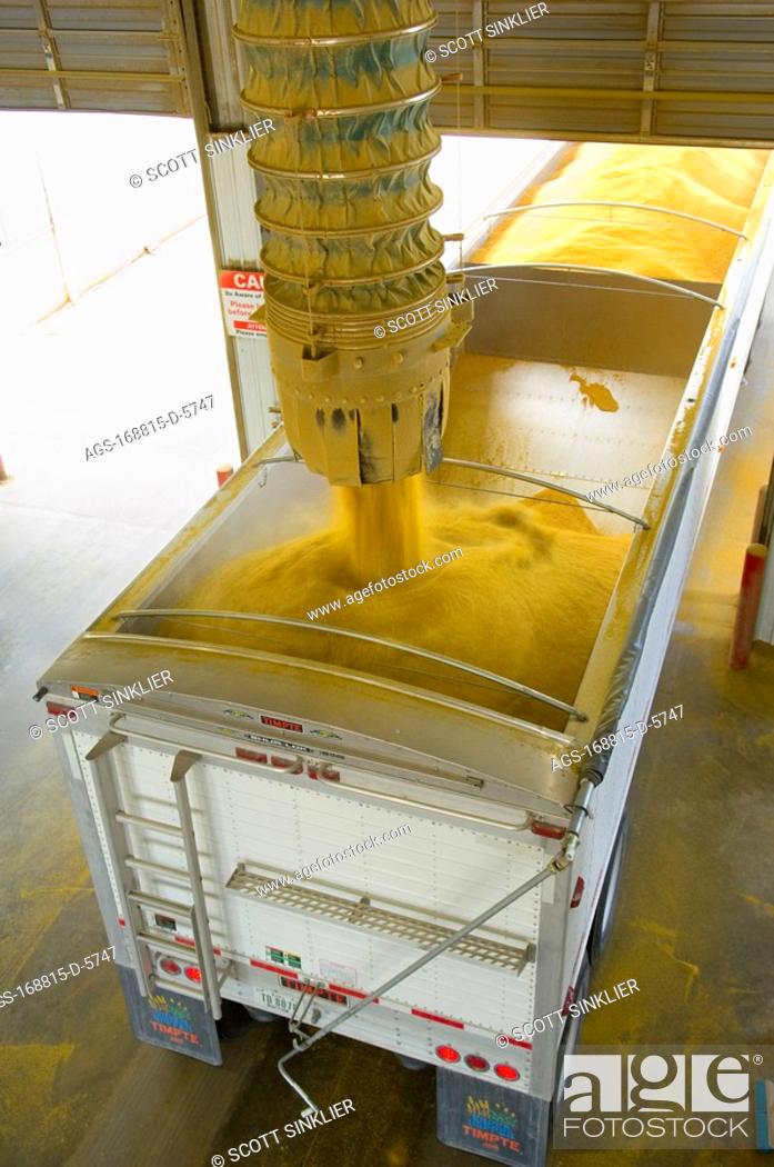 Stock Photo: Agriculture - Ethanol production plant. Ground corn being loaded into a grain truck after it has been used for ethanol production.