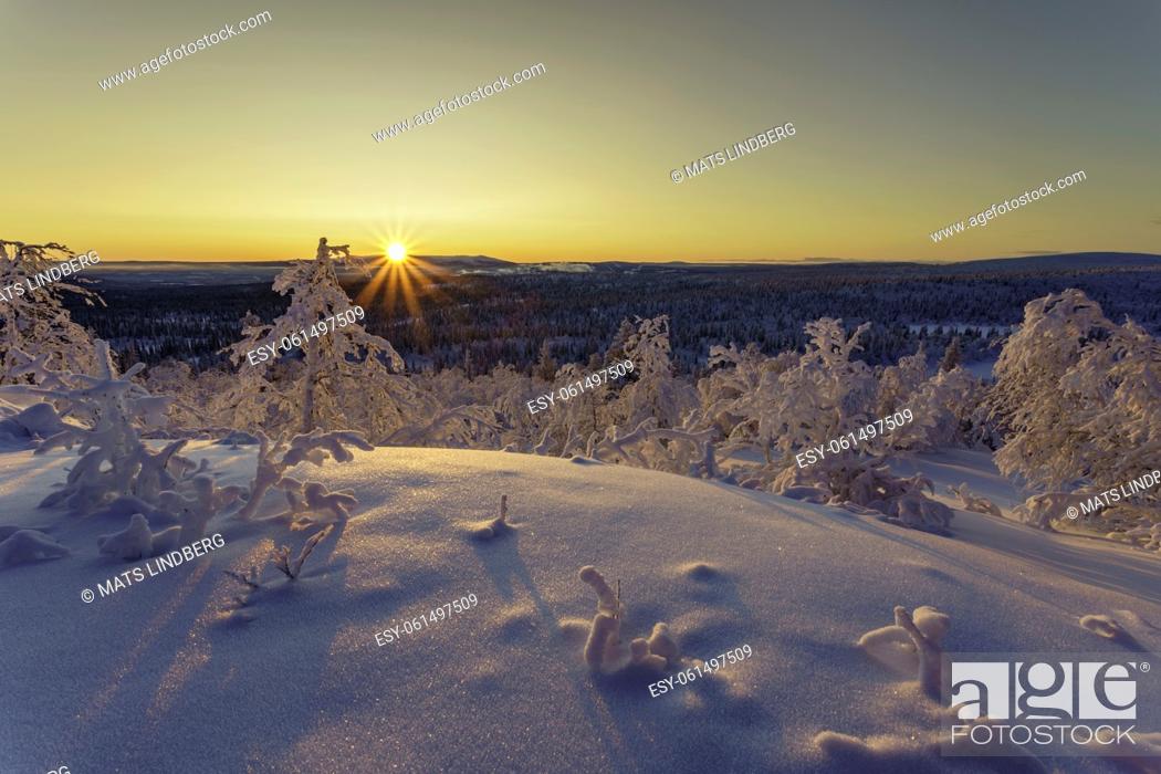 Stock Photo: Winterlandscape at sunset in direct light making the sky colorfull with nice warm color, Gällivare county, swedish Lapland, Sweden.