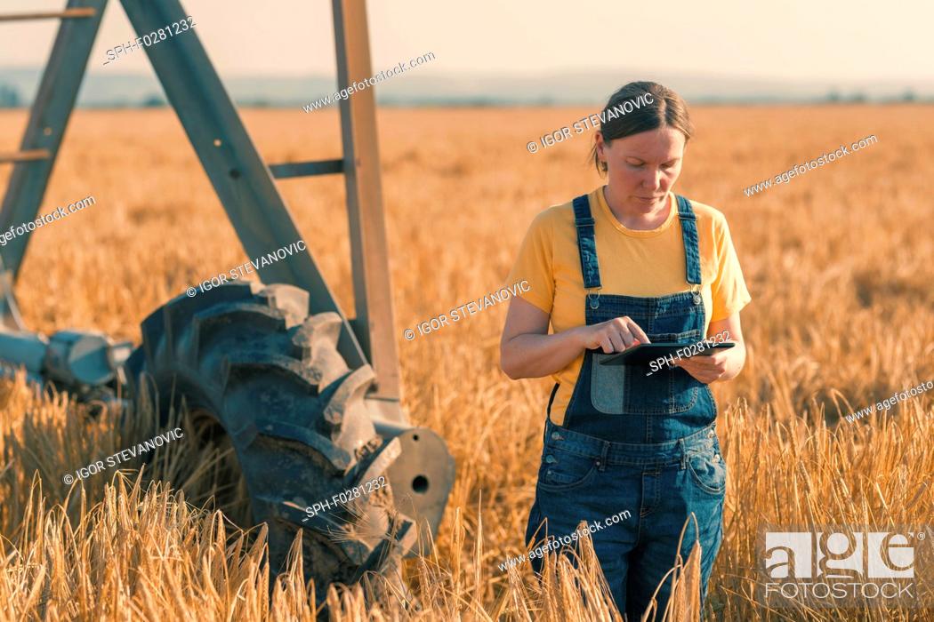 Stock Photo: Wheat farmer using tablet in field.