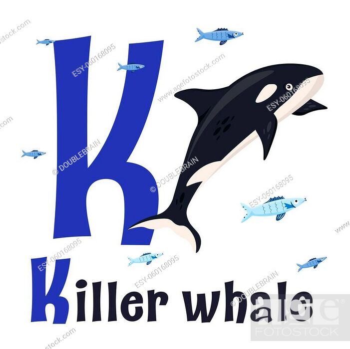 Sea animals alphabet. ABC for children. Letter K. Killer whale, Stock  Vector, Vector And Low Budget Royalty Free Image. Pic. ESY-060168095 |  agefotostock